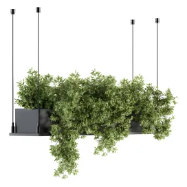 Indoor plant hanging plant box